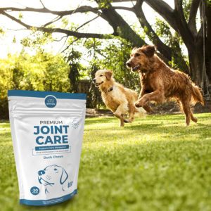 Zwei nasse Hunde laufen im Garten in Richtung einer Packung Premium Joint Care von Anicare