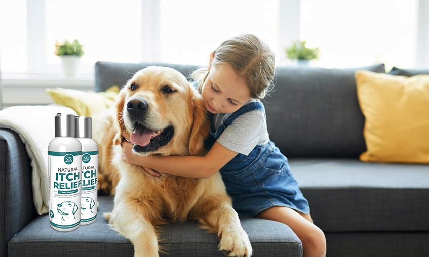 Natural Itch Relief, Hund mit Kind auf Couch