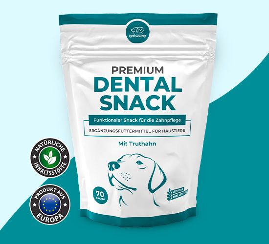 Premium Dental Snack