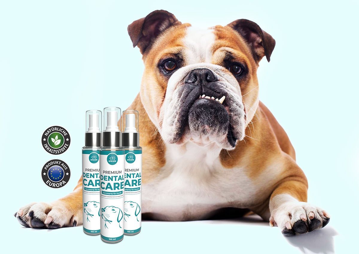 Drei Flaschen Dental Care neben Hund