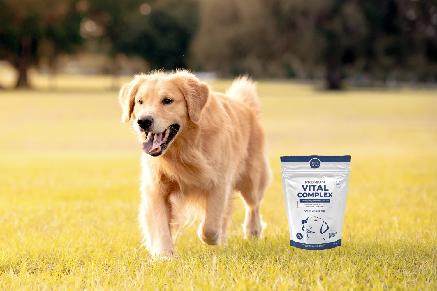 Anicare's Premium Vital Complex Packung neben einem Hund