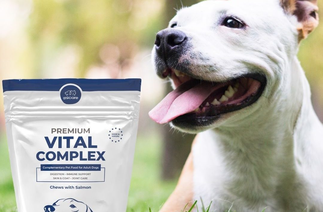 Premium Vital Complex für Hunde