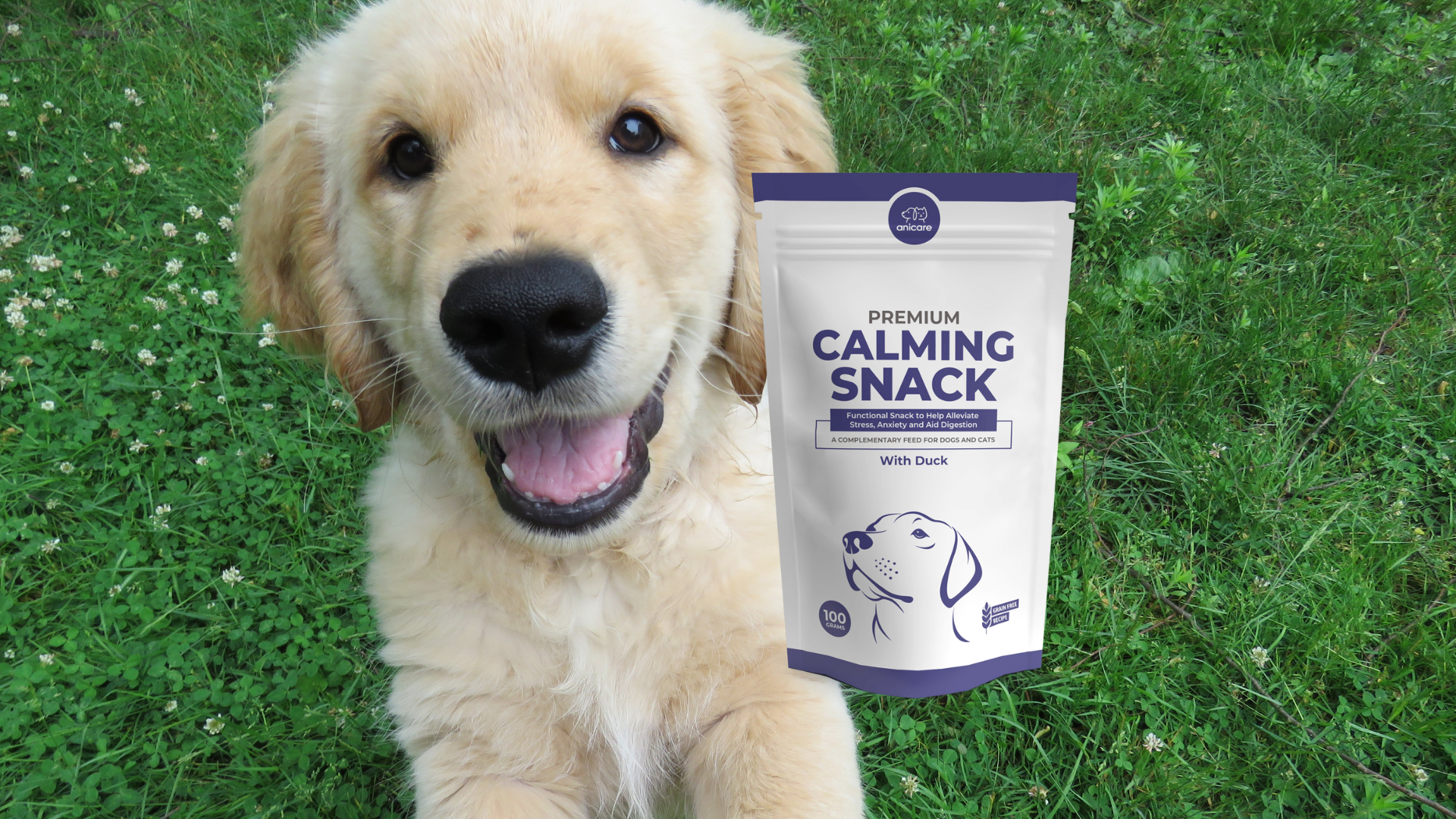 Für wen ist der Premium Calming Snack geeignet? - Premium Calming Snack